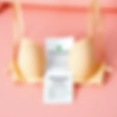 Care instructions for maintaining bandeau tube bras displayed on a pastel background.