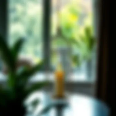 Contemporary birdcage candle holder in modern setting