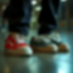 Different styles of canvas shoes designed for skating.