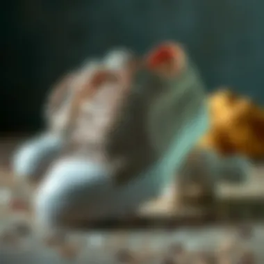 Materials used in the construction of canvas shoes for skating.