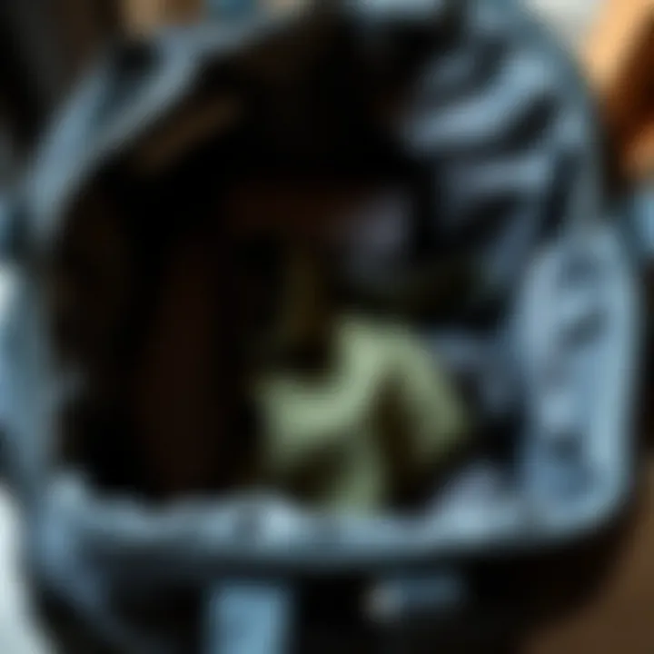 Organized interior of a collapsible shopping bag showcasing compartments