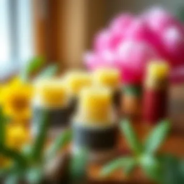 Finished lip balm in stylish containers