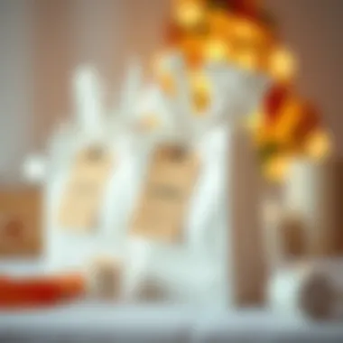 Creative thematic bridal shower gift bag ideas