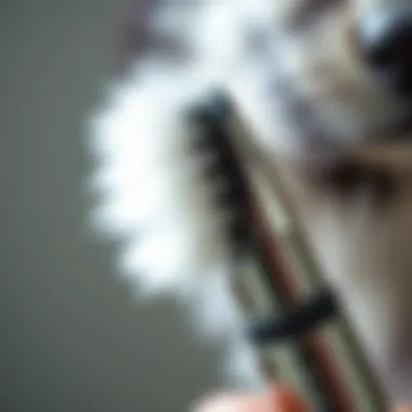 Close-up of fur remover showing its dual sides