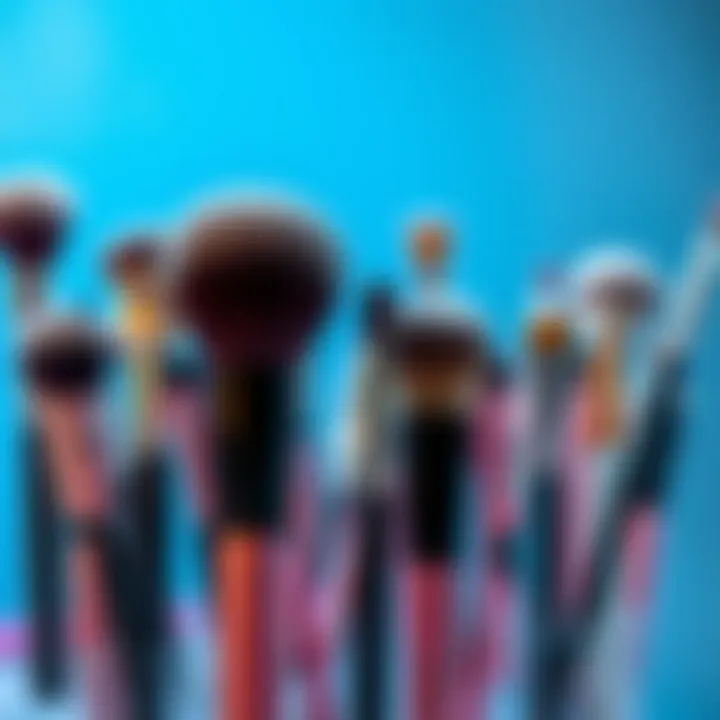 Diverse styles of electric makeup brushes