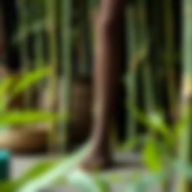 Bamboo in Sustainable Fashion A stylish display of bamboo compression stockings in a sustainable fashion context