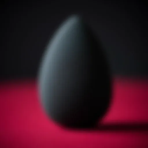 Close-up of the Big Black Beauty Blender showcasing its unique texture