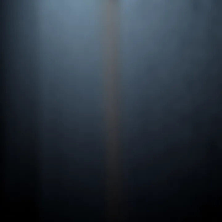 Close-up of textured black self-adhesive wallpaper