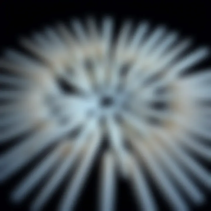 A stunning array of long fake nails arranged in a creative pattern.