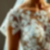 Elegant wedding dress overlay showcasing intricate lace details
