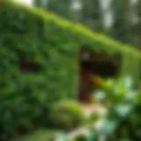 Lush fake ivy privacy fence covering a garden area