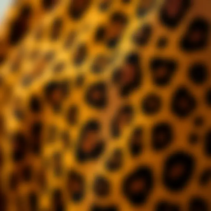 Close-up of leopard print fabric highlighting its texture and pattern