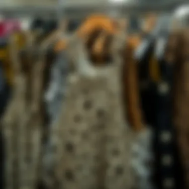 A collection of various leopard print overall styles displayed on hangers