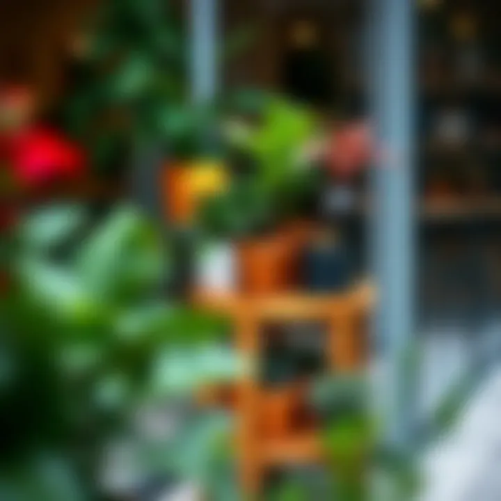 Elegant wooden plant pot stand showcasing a variety of potted plants