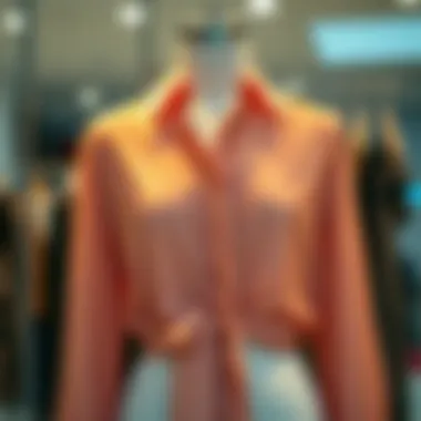 Elegant sheer tie front blouse on a stylish mannequin