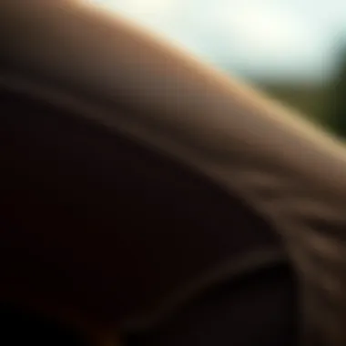 Detailing the Durable Fabric of Riding Pants Close-up of fabric texture highlighting durability of riding pants