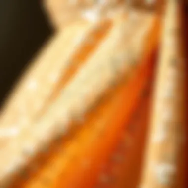 A close-up of disco dress fabric showcasing sparkle