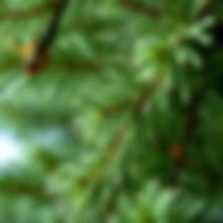 Close-up of diverse materials used in synthetic pine branches
