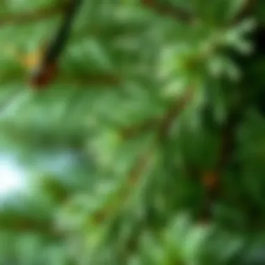 Materials Used in Artificial Pine Tree Branches Close-up of diverse materials used in synthetic pine branches