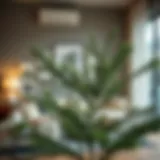 Elegant arrangement of artificial pine branches in a modern living room