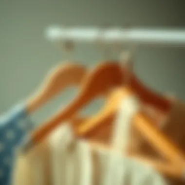 Innovative features of collapsible hangers demonstrating functionality