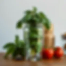 Elegant glass jar filled with vibrant basil leaves