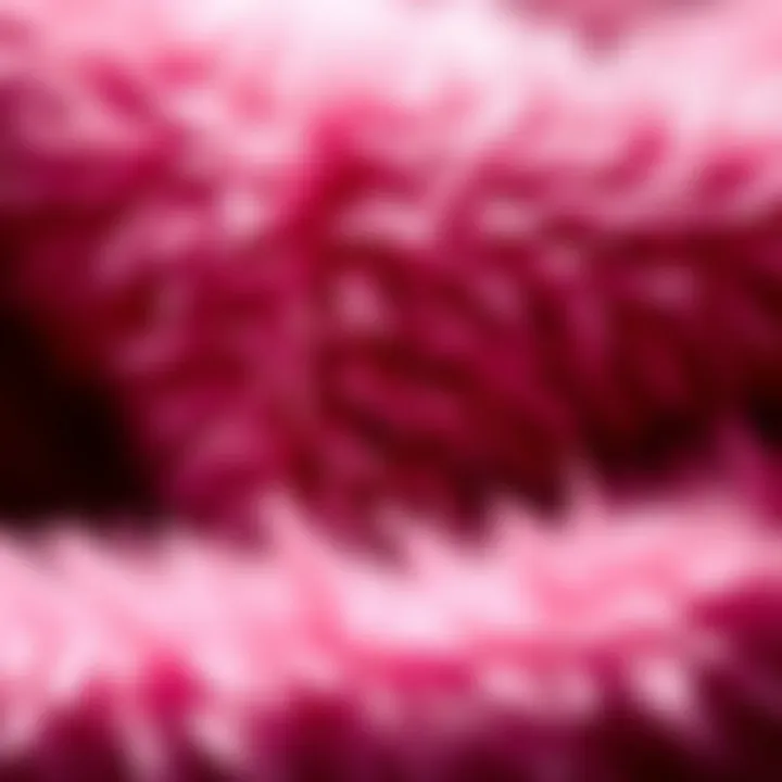 Close-up of furry fabric texture used in prom dresses, highlighting its softness and allure.