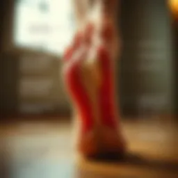 Anatomy of the foot highlighting arches and support areas