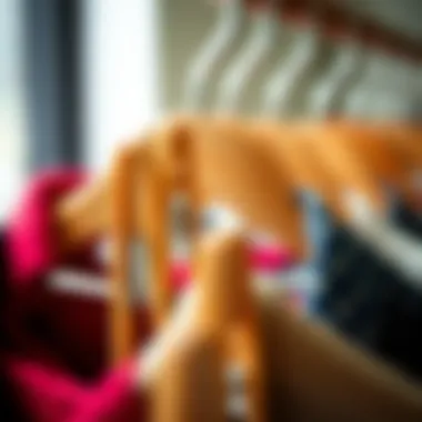 Different types of hanger clothes pins showcasing their functionality.