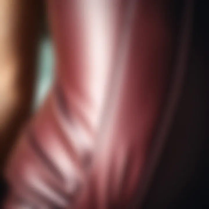 The Quality of Latex in Waist Trainer Corsets Close-up view of the material used in a latex waist trainer corset, highlighting its texture and quality.