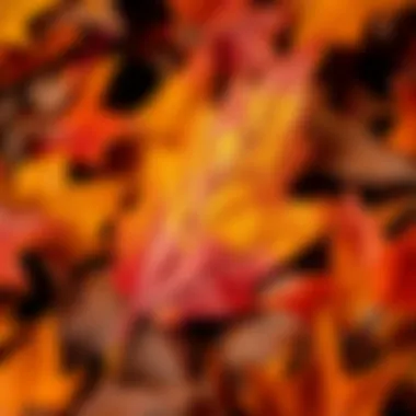 Materials Behind Artificial Autumn Leaves Close-up of the materials used in creating high-quality fake autumn leaves.