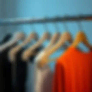 Eco-Friendly Materials for Clothes Hangers Sustainable materials used in modern clothes hangers