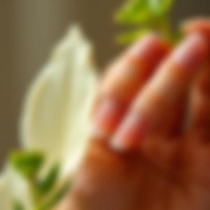 Sustainability in Focus: Materials for Nail Stickers Eco-friendly materials used in crafting nail stickers