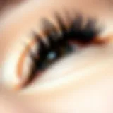 Close-up of luxurious mink lashes showcasing their softness and elegance