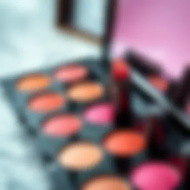 A palette of liquid blush products showcasing diverse colors