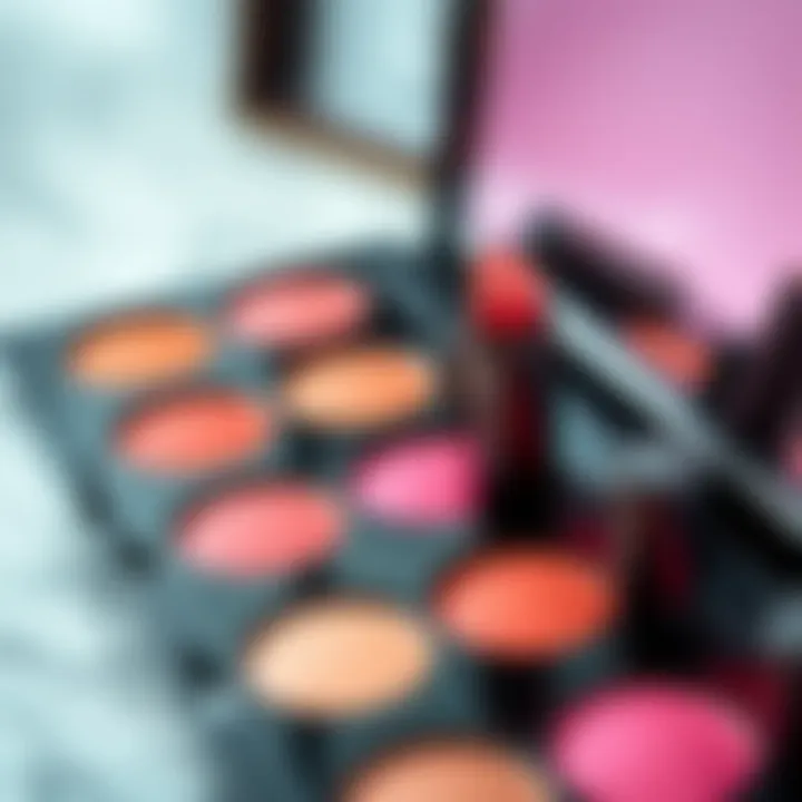 A palette of liquid blush products showcasing diverse colors