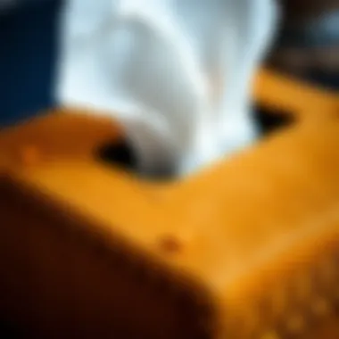 Close-up of intricate stitching on a felt tissue box cover