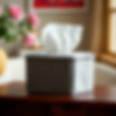 Stylish felt tissue box cover in an artistic setting