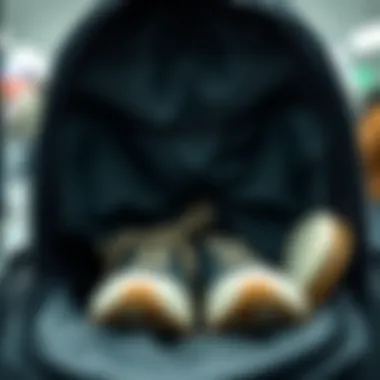 Interior View of Shoe Storage in Backpack Interior view of a backpack showcasing shoe storage