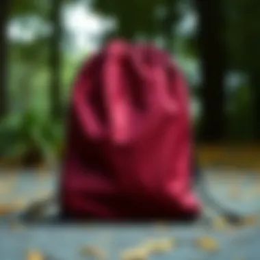 An array of designs for lightweight drawstring backpacks