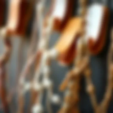 A close-up of different styles and materials of vine wall clips.