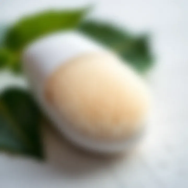 Visual representation of eco-friendly materials used in silicone face brushes