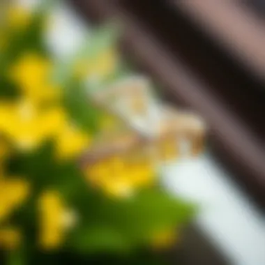 Elegant metal claw hair clip showcasing intricate design