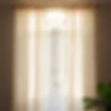 Elegant Cheesecloth Curtain in Sunlight Elegant cheesecloth curtain draping in a sunlit room