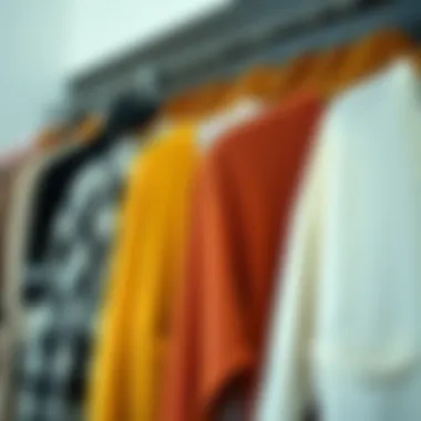 Variety of Short Cardigans A collection of short cardigans in various colors and materials, emphasizing versatility.