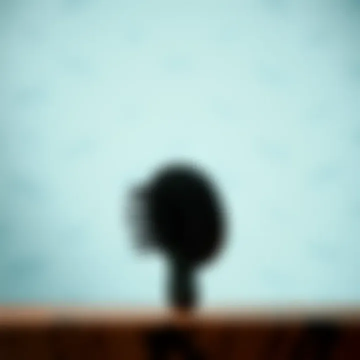 Compact folding hair brush with sleek design