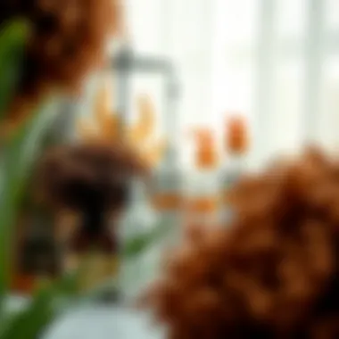 A vibrant assortment of curly hair products