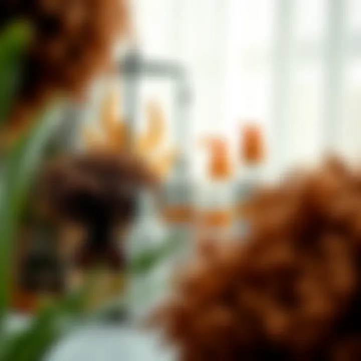 A vibrant assortment of curly hair products